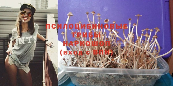 прущие крисы Алзамай