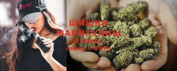 стаф Рославль